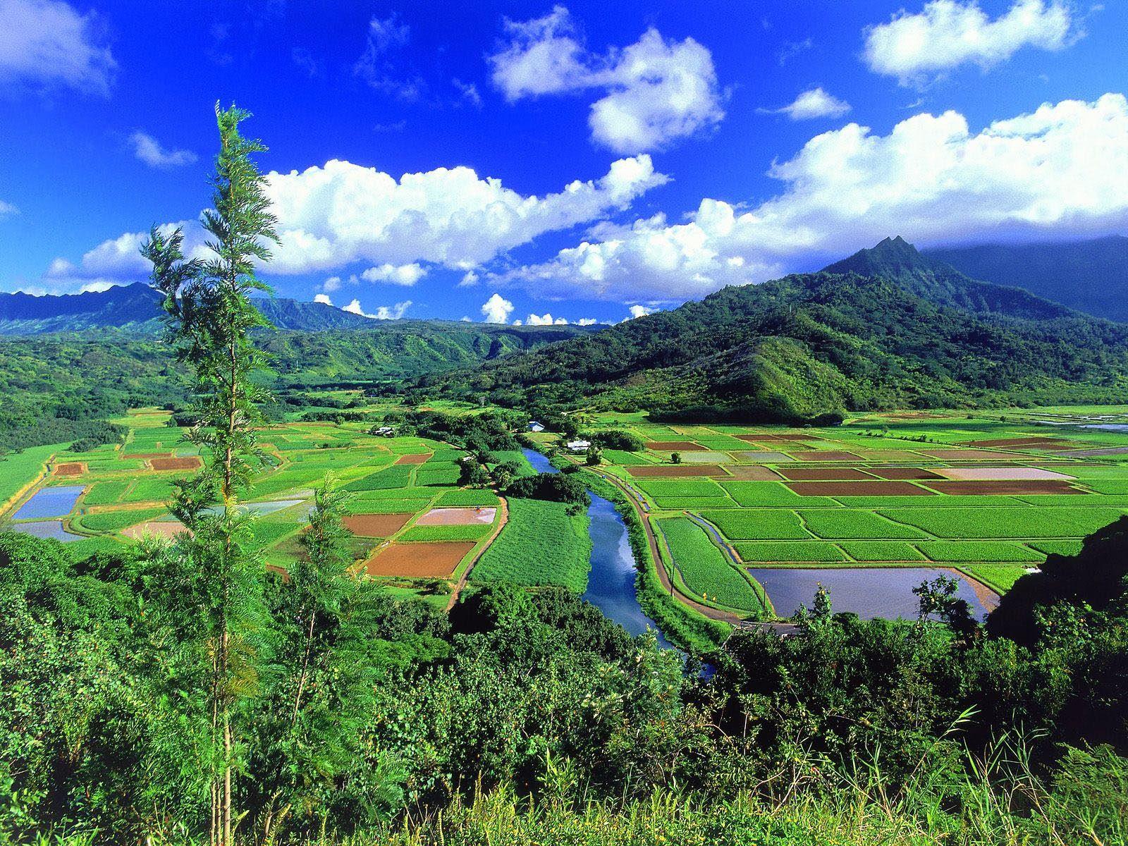 1600x1200 Cute Baby HD Wallpaper: Hanalei River Valley Wallpaper