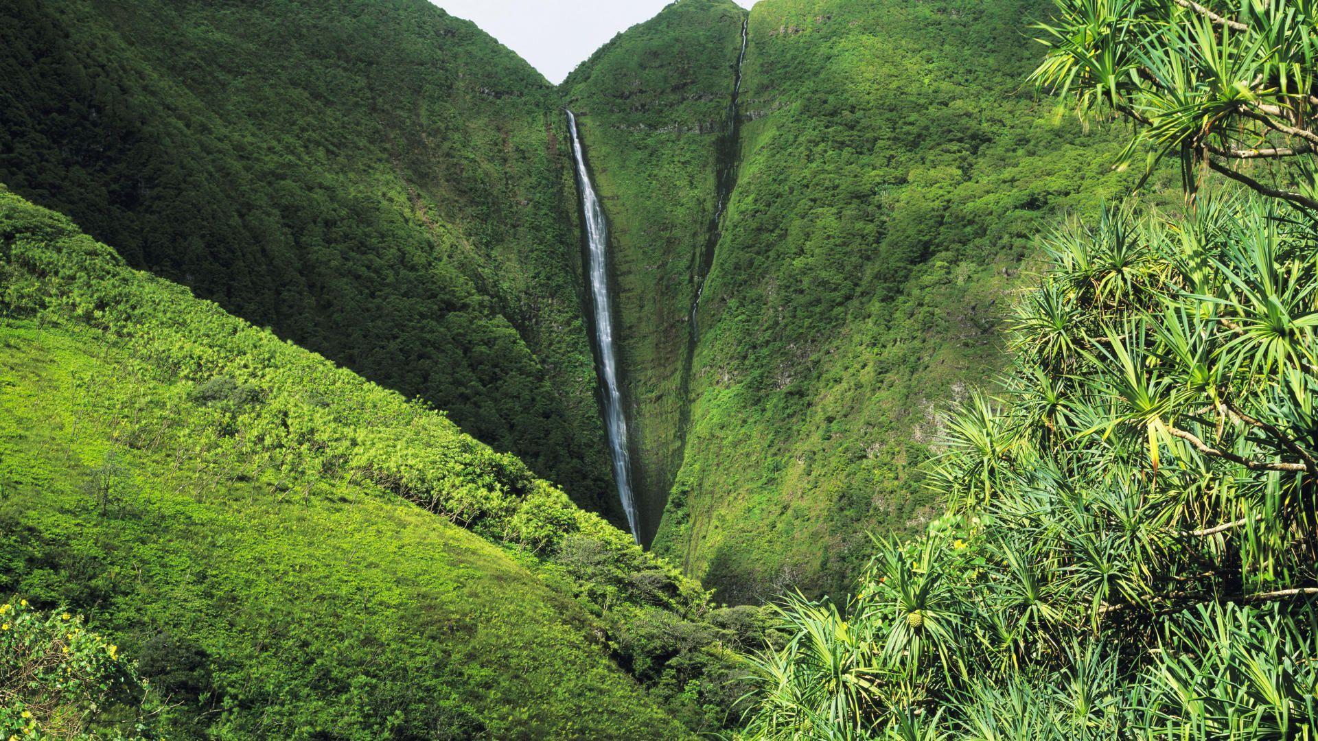 1920x1080 Foot Papalaua Falls, Island of Molokai, Hawaii. Waterfall, Waterfall wallpaper, Famous waterfalls