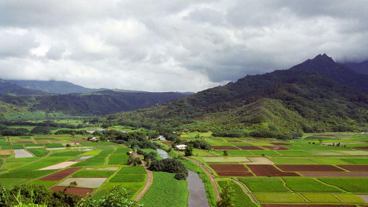 1536x864 Free download Clovisso Wallpaper Gallery Hanalei River Valley Wallpaper [1600x1000] for your Desktop, Mobile & Tablet. Explore Hanalei Wallpaper. Hanalei Wallpaper
