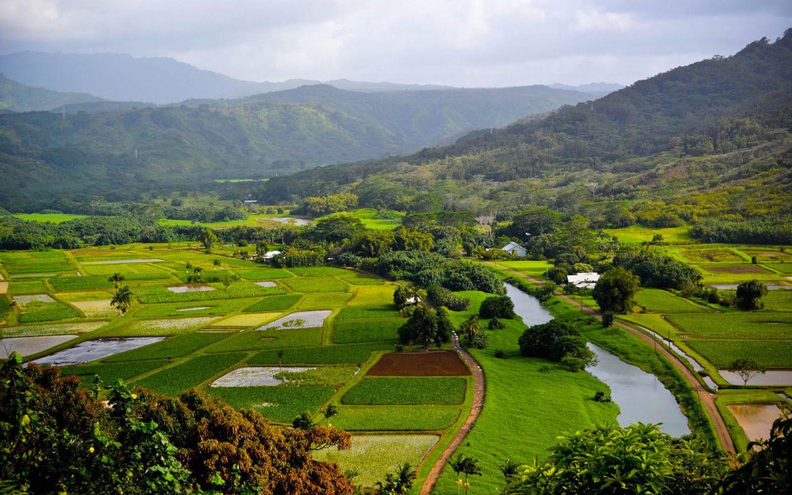 1600x1000 Free download Clovisso Wallpaper Gallery Hanalei River Valley Wallpaper [1600x1000] for your Desktop, Mobile & Tablet. Explore Hanalei Wallpaper. Hanalei Wallpaper