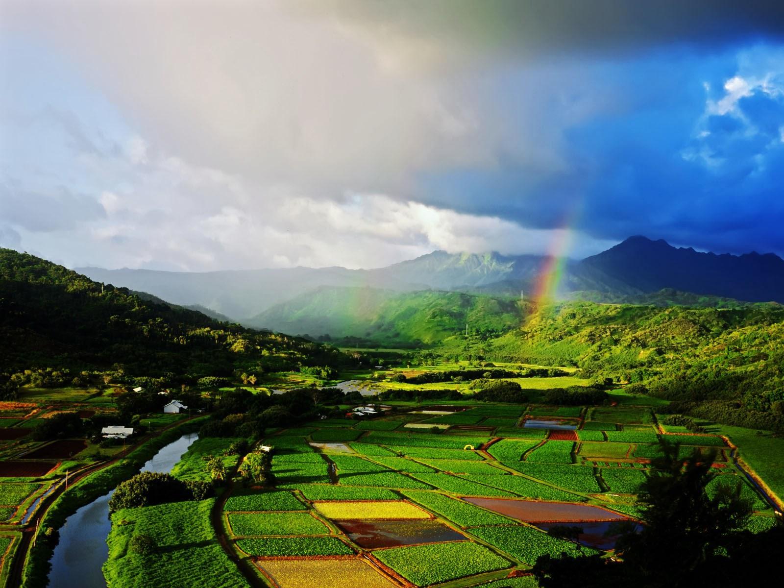 1600x1200 Hanalei Wallpaper