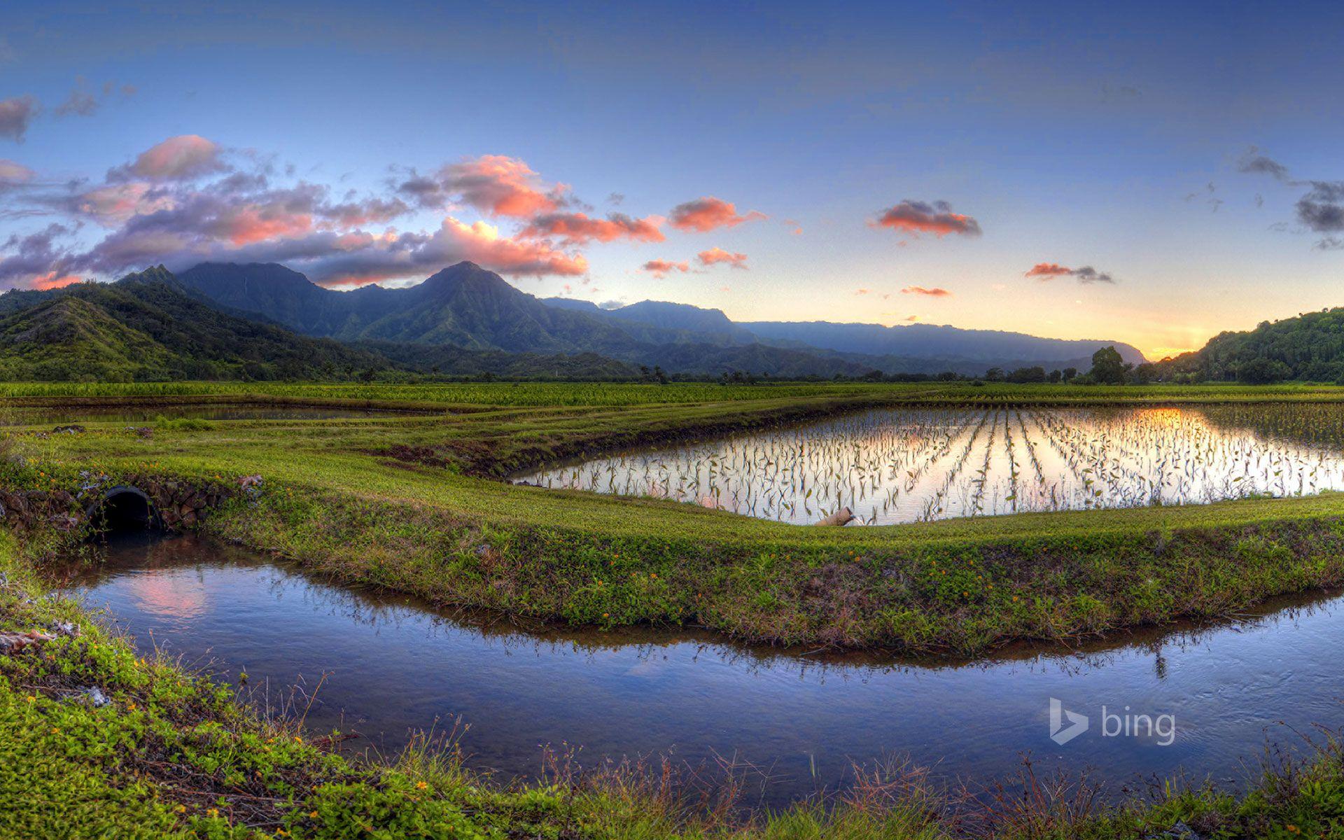 1920x1200 Hanalei Valley, Kauai, Hawaii