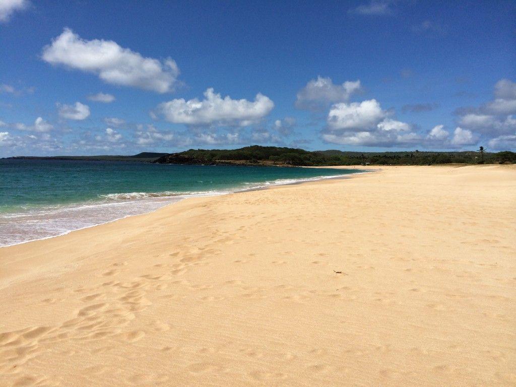 1024x768 Molokai Wallpaper. Molokai Wallpaper