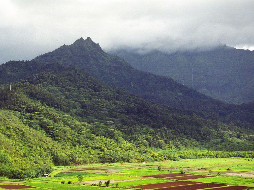 1024x768 Hanalei Valley and Waialeale Mountain. A view of the agricu
