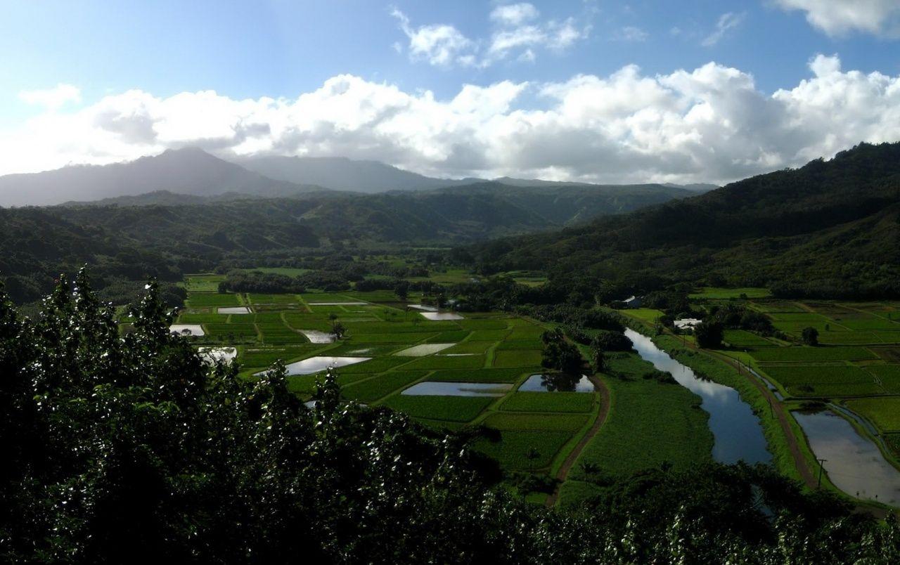 1280x804 Mountains Fields & Water wallpaper. Mountains Fields & Water
