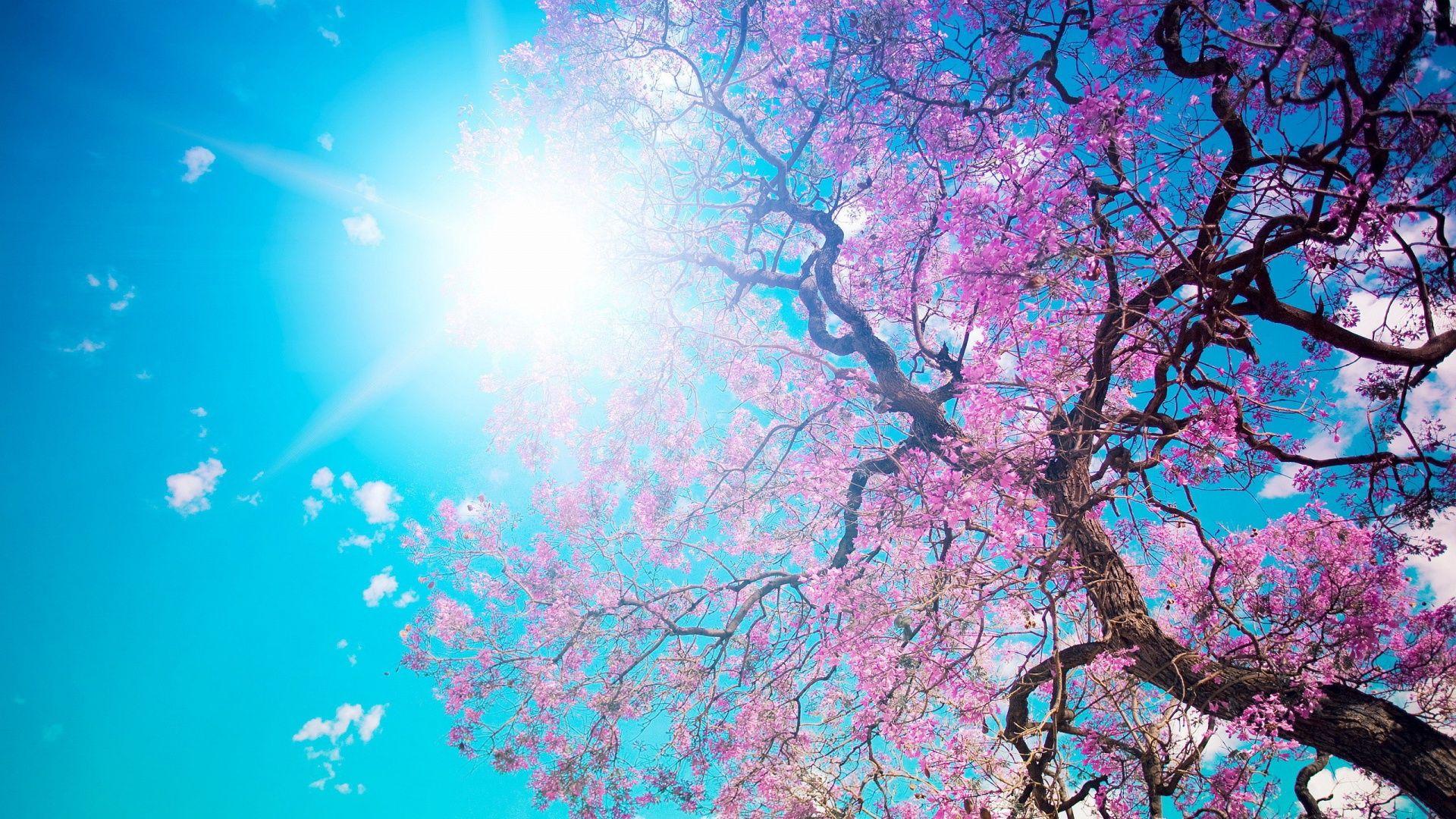 1920 X 1080 Spring Wallpapers - Top Free 1920 X 1080 Spring Backgrounds ...