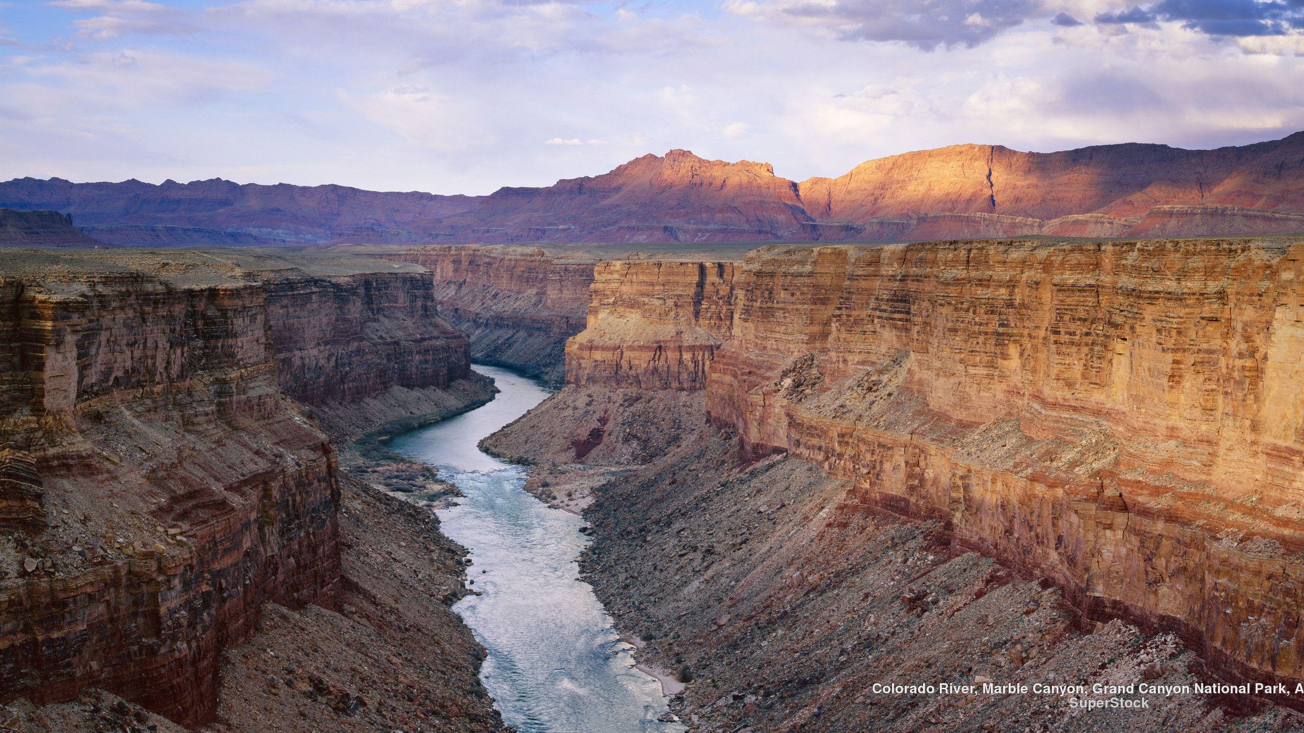 2560x1440 Grand Canyon National Park Wallpaper. National Geographic Wallpaper, National Geographic Wallpaper Reindeer and Wallpaper National Geographic Stunning