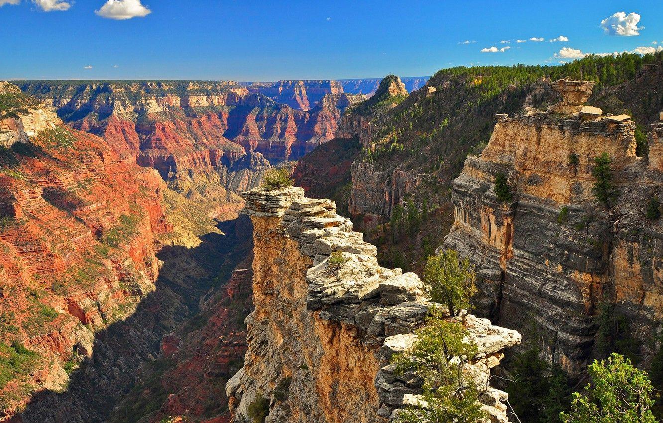 1332x850 Wallpaper the sky, clouds, trees, mountains, canyon, USA, USA, Grand Canyon National Park image for desktop, section пейзажи