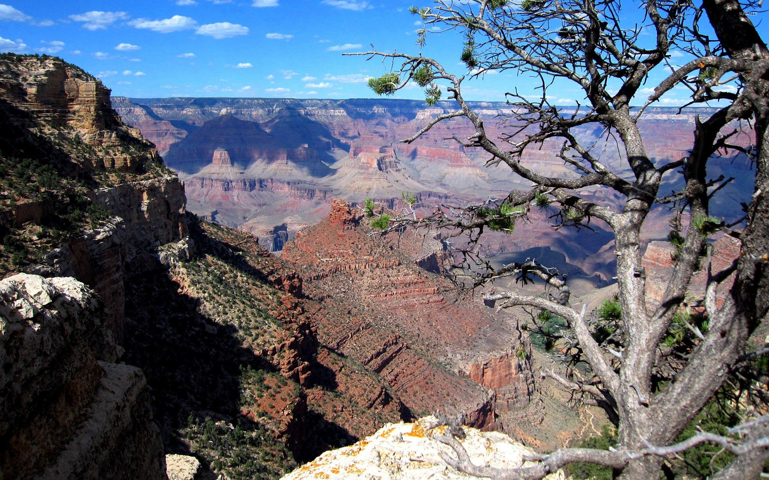 2560x1600 Grand Canyon [7] wallpaper wallpaper