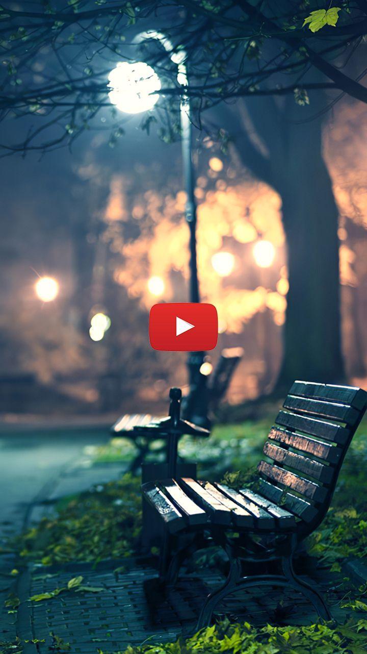 720x1282 park at night aesthetic. park at night photography. bench at park aesthetic. park night wallpaper. Live wallpaper, Wallpaper, Night aesthetic