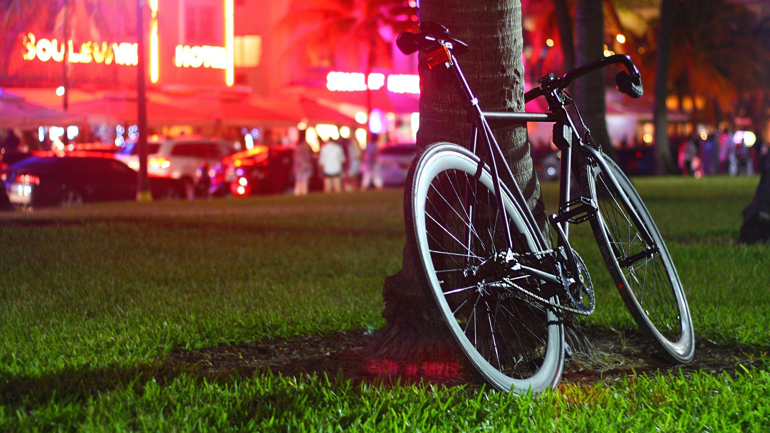 2560x1440 Night Park Street Bike 1440P Resolution HD 4k Wallpaper, Image, Background, Photo and Picture