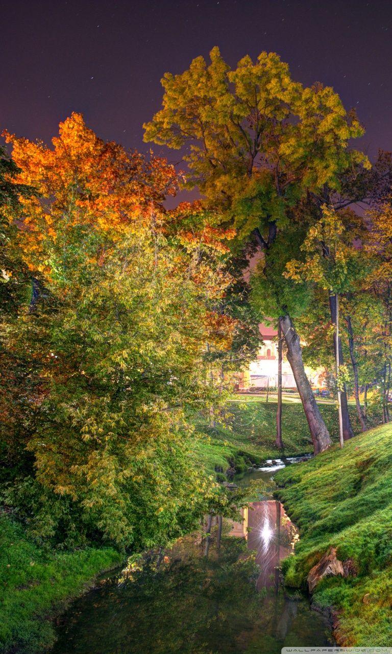 768x1280 Night Park Ultra HD Desktop Background Wallpaper for 4K UHD TV : Widescreen & UltraWide Desktop & Laptop : Tablet