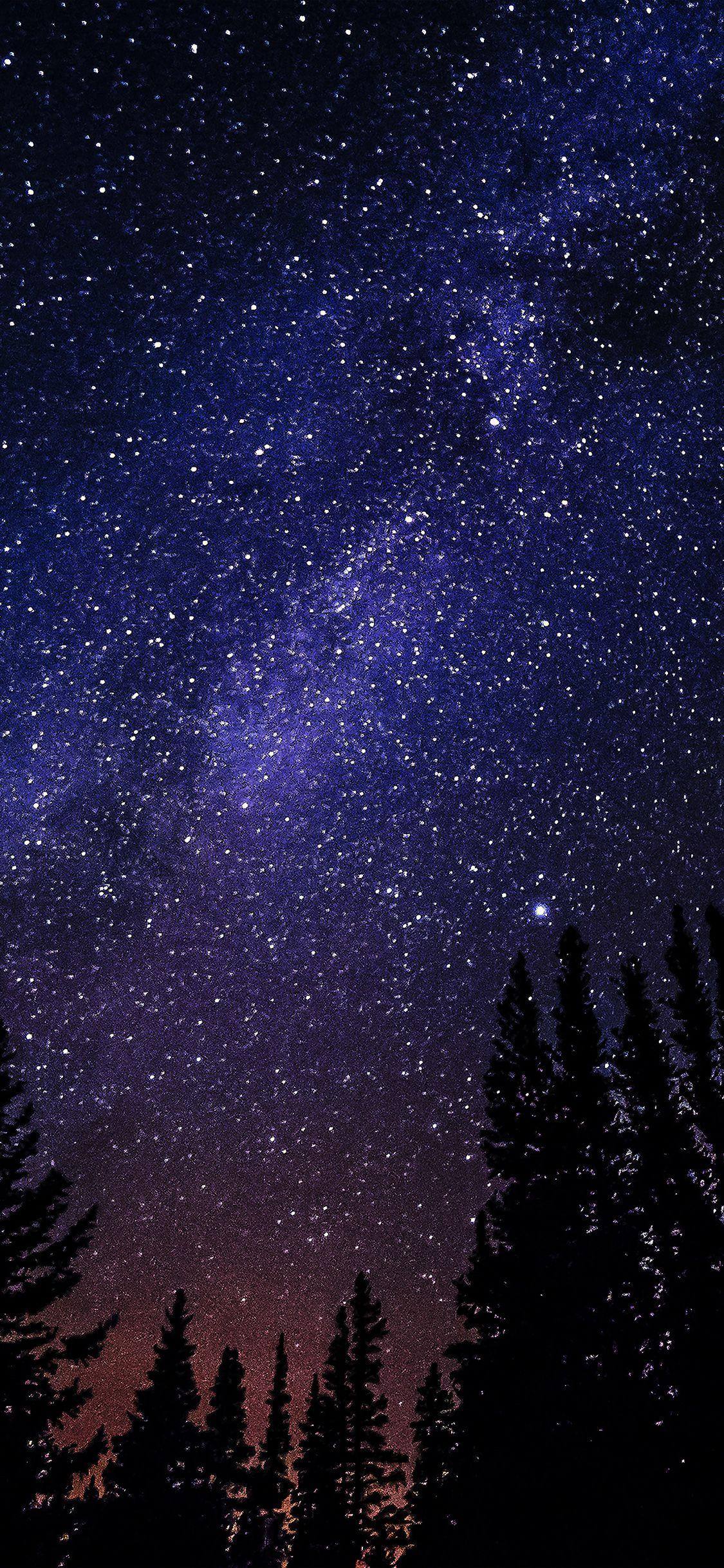 1125x2436 night starry sky aurora winter dark