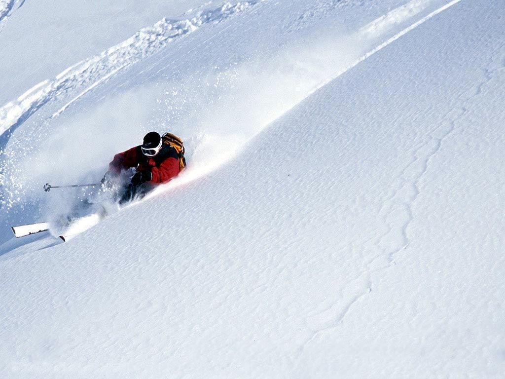 1024x768 Powder Skiing Wallpaper