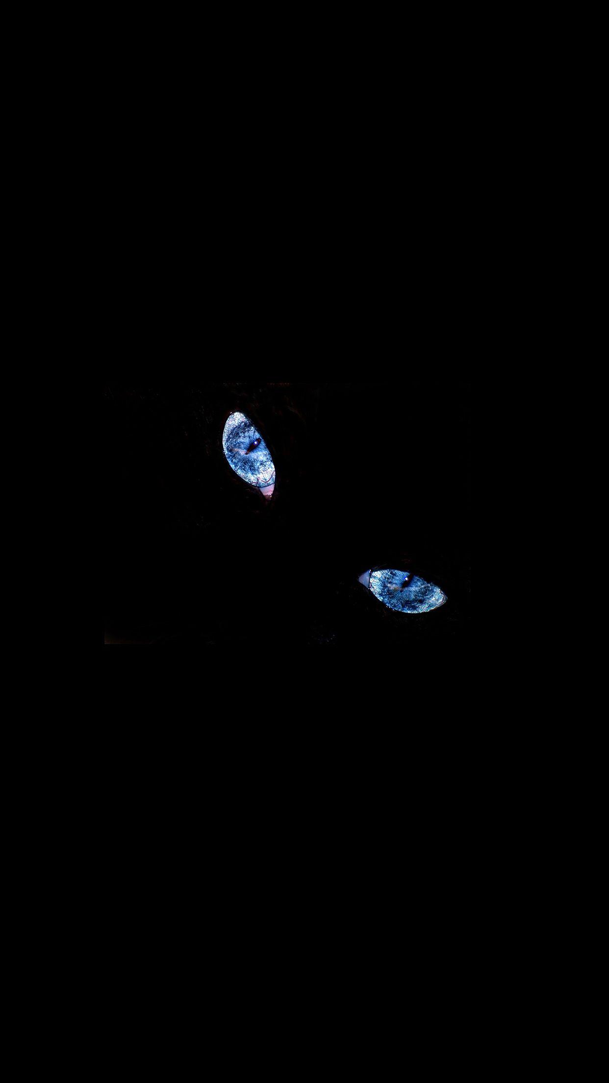 1242x2208 Blue Eyed Cat Minimal Animal Simple Dark Android wallpaper HD wallpaper