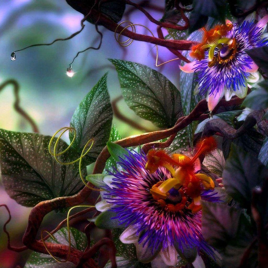 1024x1024 exotic flowers. Exotic flowers, iPad Background, Best iPad