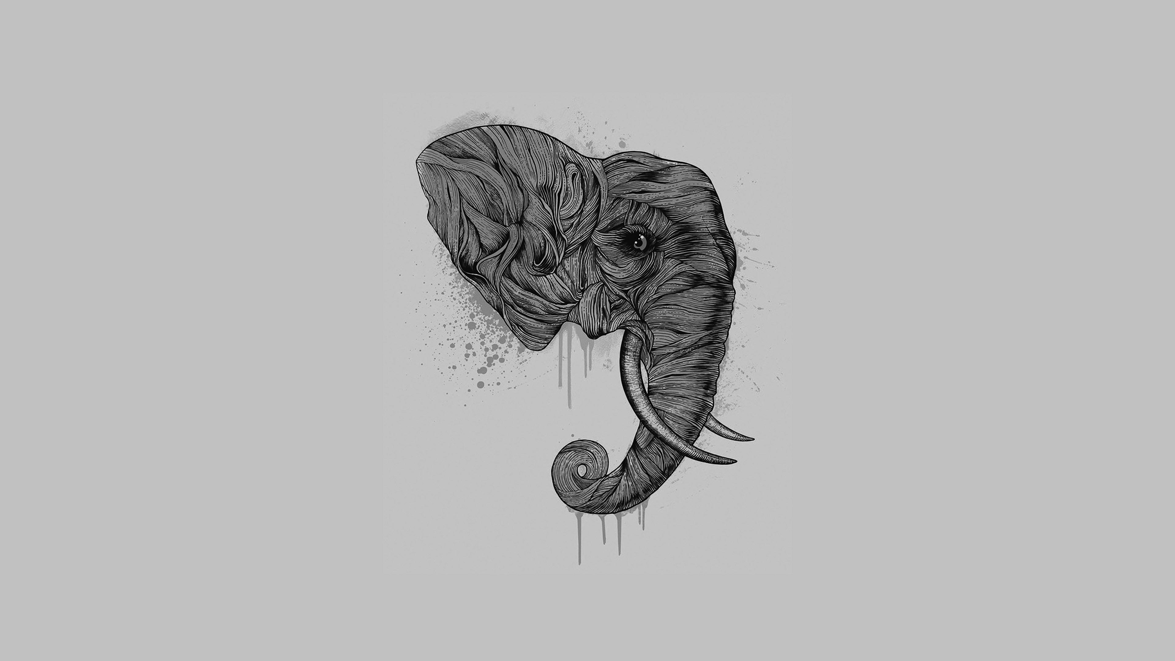 3840x2160 Elephant Art Dark Illust Drawing Animal