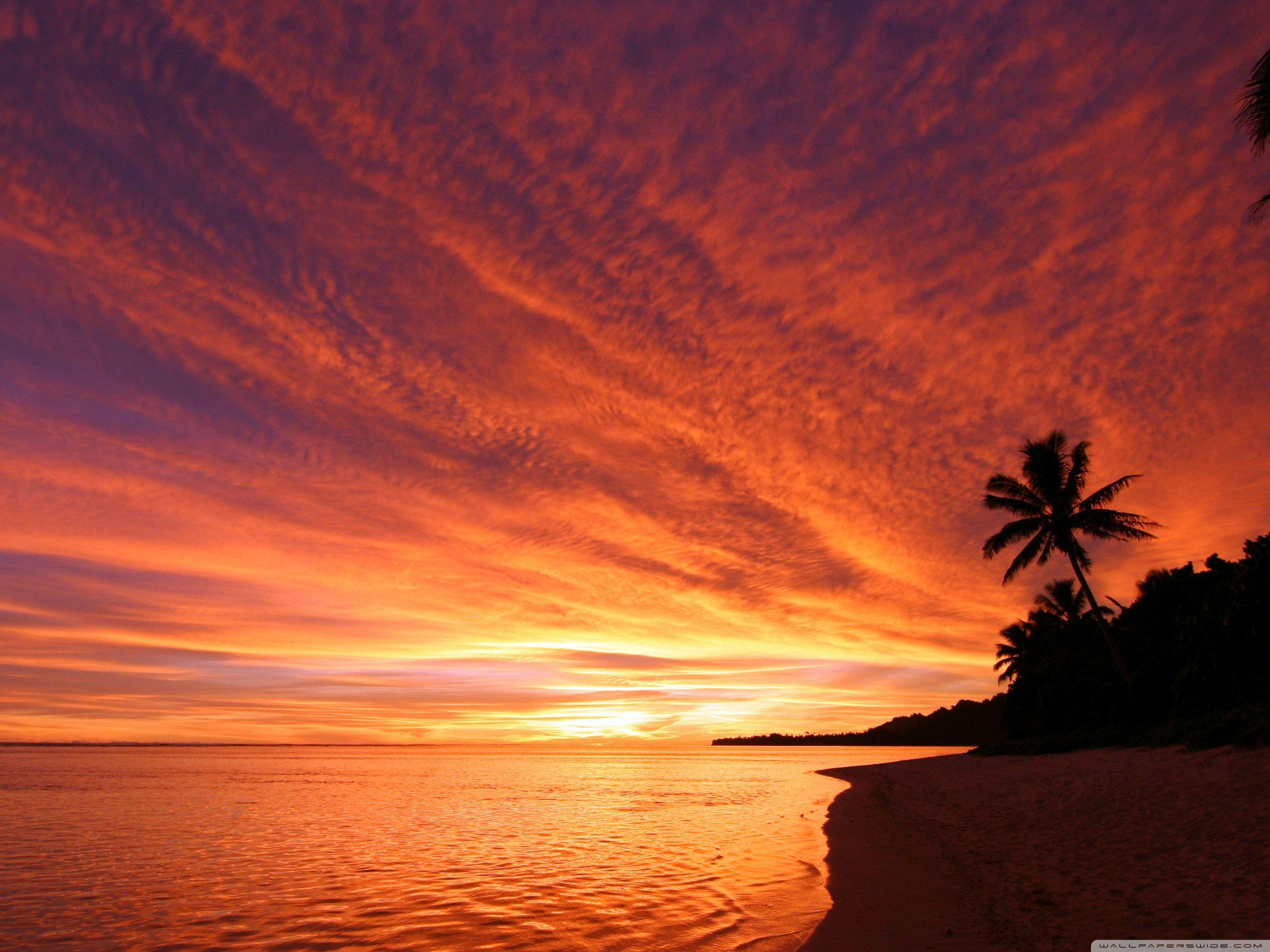 2800x2100 Exotic Sunset ❤ 4K HD Desktop Wallpaper for 4K Ultra HD TV • Dual
