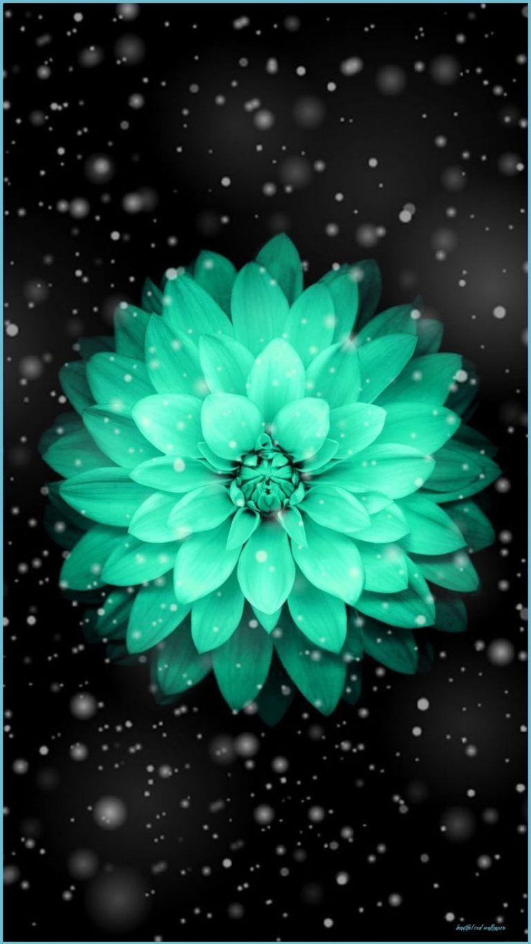 768x1365 Wallpaper of beautiful teal flower