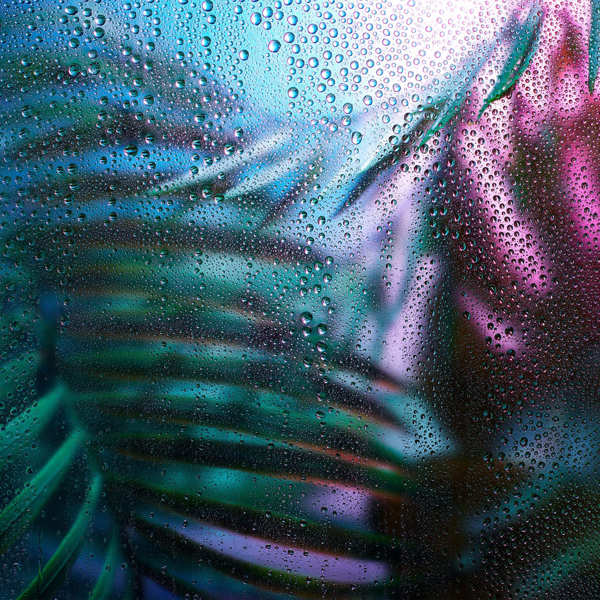 2048x2048 FreeiOS8.com. iPhone wallpaper. raindrop exotic plant art