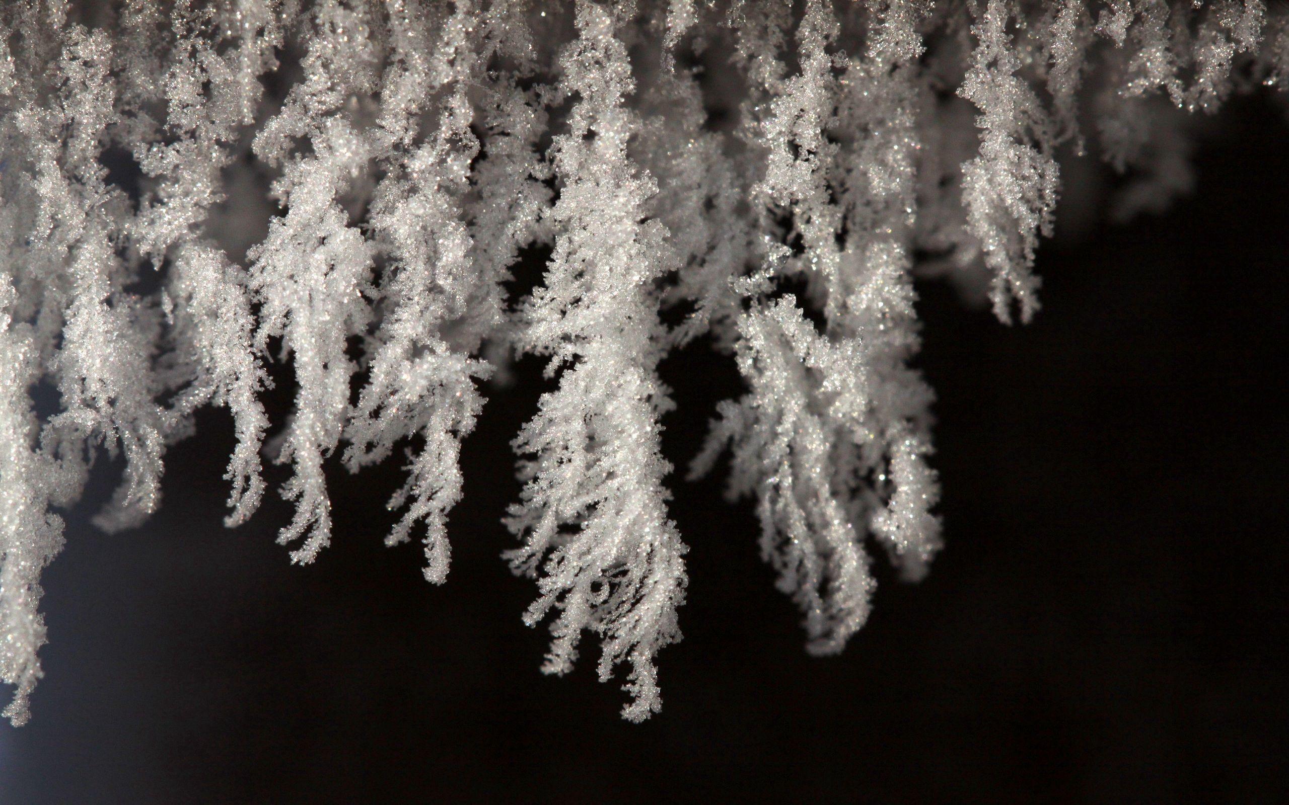 2560x1600 Download Wallpaper 2560x1600 Close Up, White, Black, Snow, Snowflakes HD Background