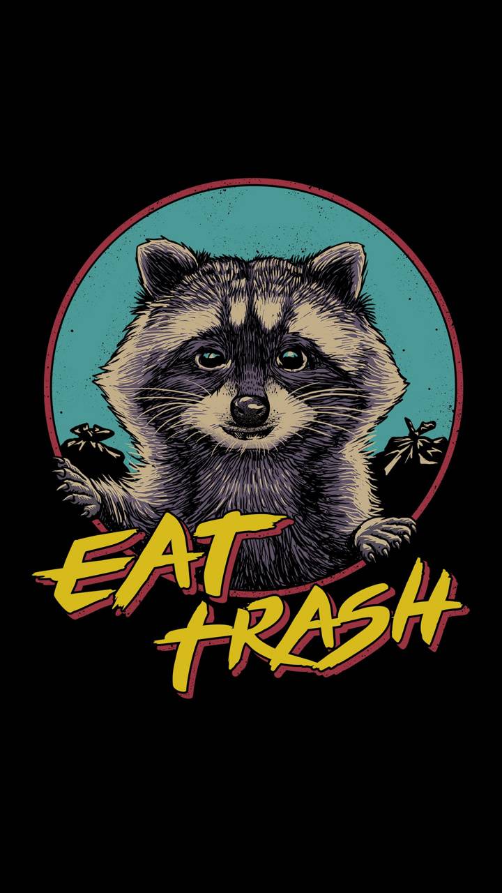 720x1280 Black Racoon Trash wallpaper