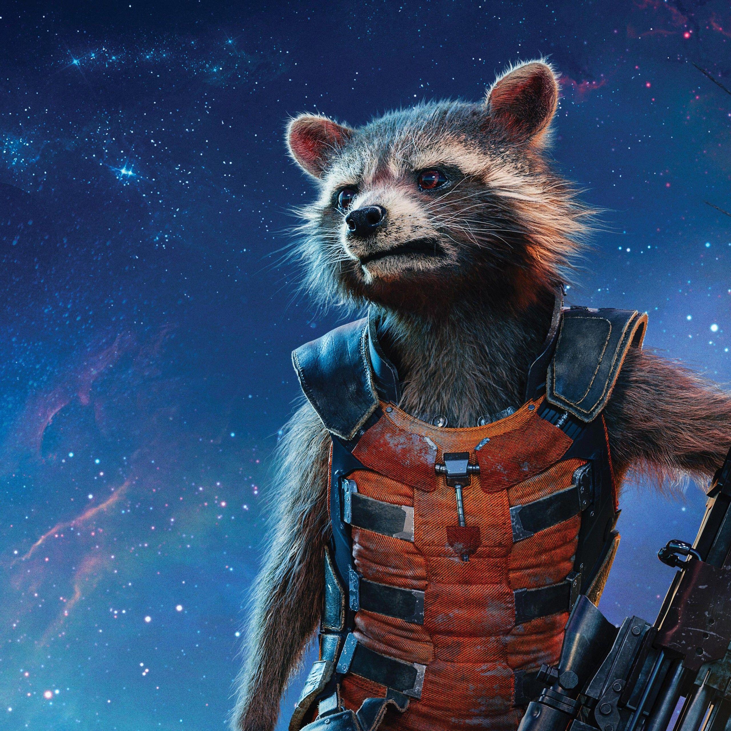 2560x2560 Wallpaper Rocket Raccoon, Guardians of the Galaxy Vol 5K, Movies / Most Popular,. Wallpaper for iPhone, Android, Mobile and Desktop