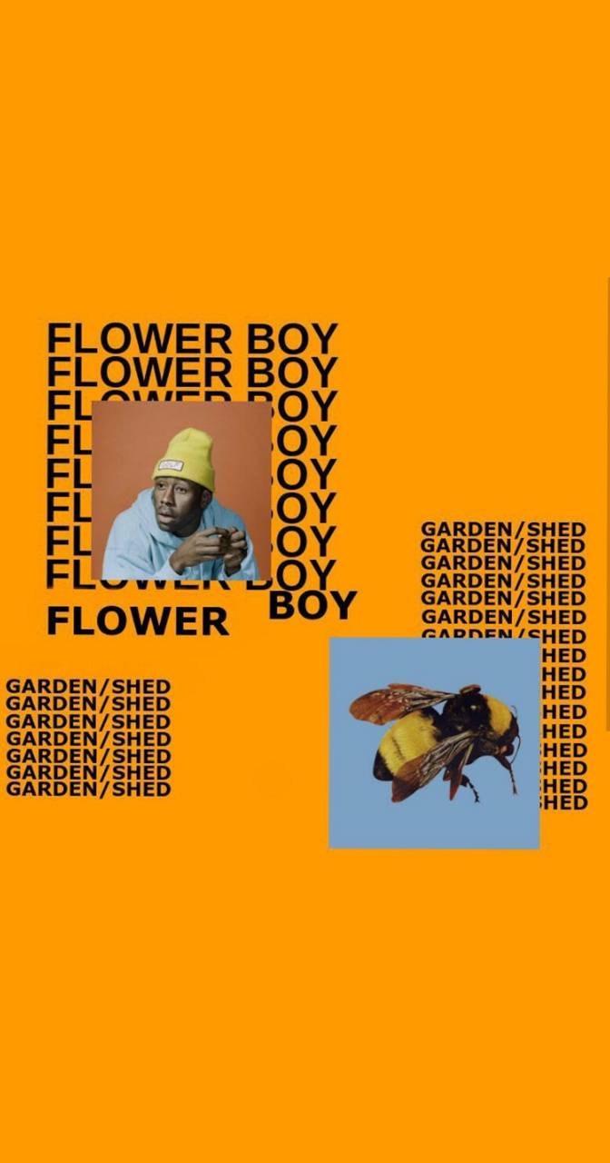 672x1280 Flower Boy wallpaper