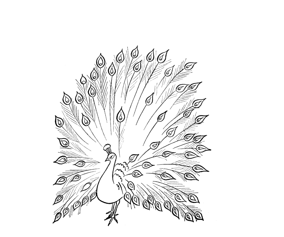 982x820 Tree Drawing Wallpaper Com Free For Personal Use Palm Tree Wallpaper Bathroom