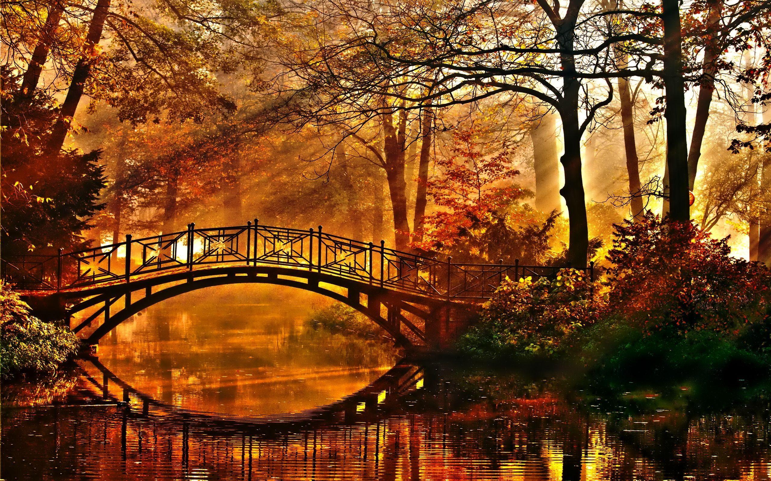 Autumn Bridge Wallpapers - Top Free Autumn Bridge Backgrounds