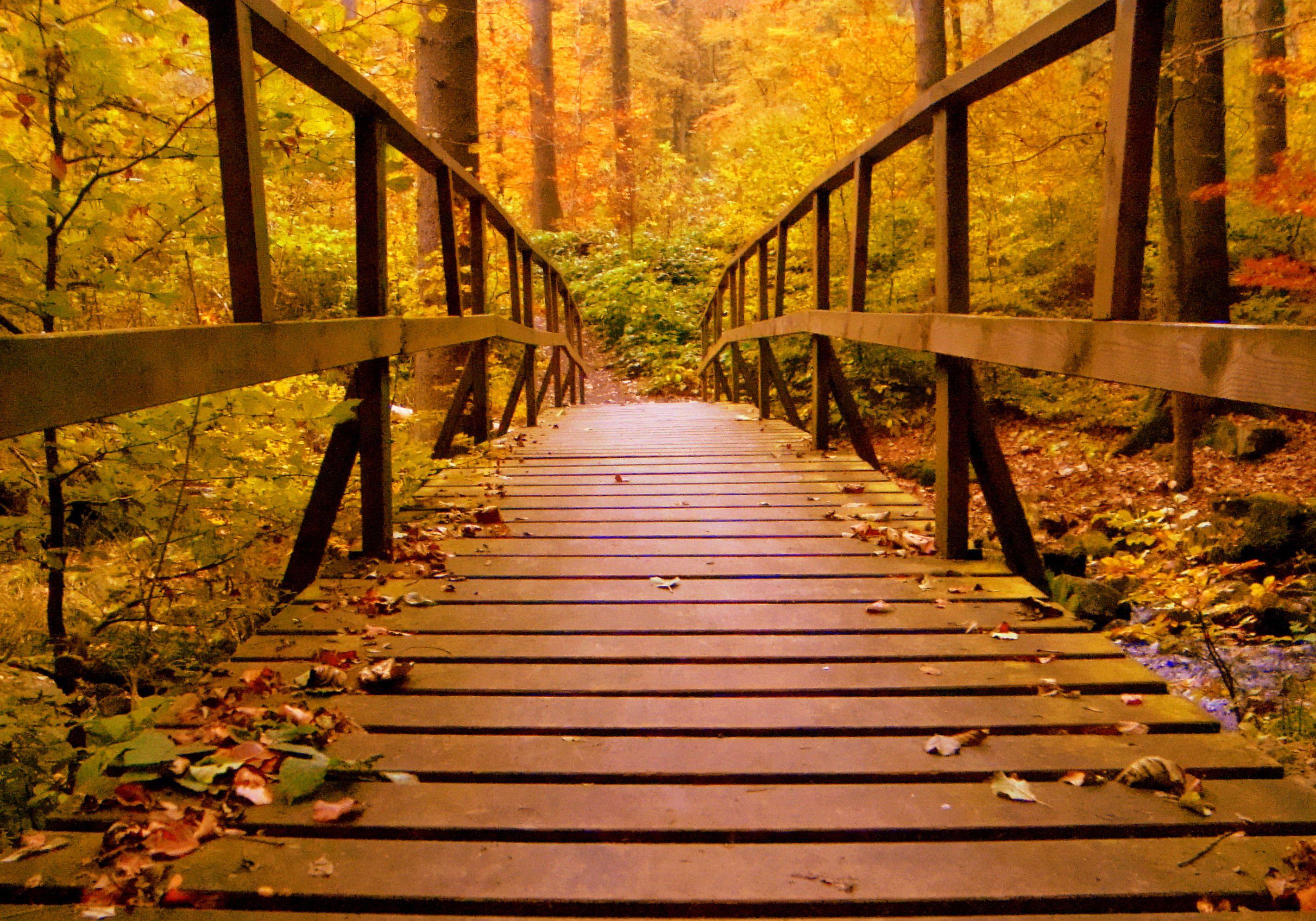 Autumn Bridge Wallpapers - Top Free Autumn Bridge Backgrounds ...