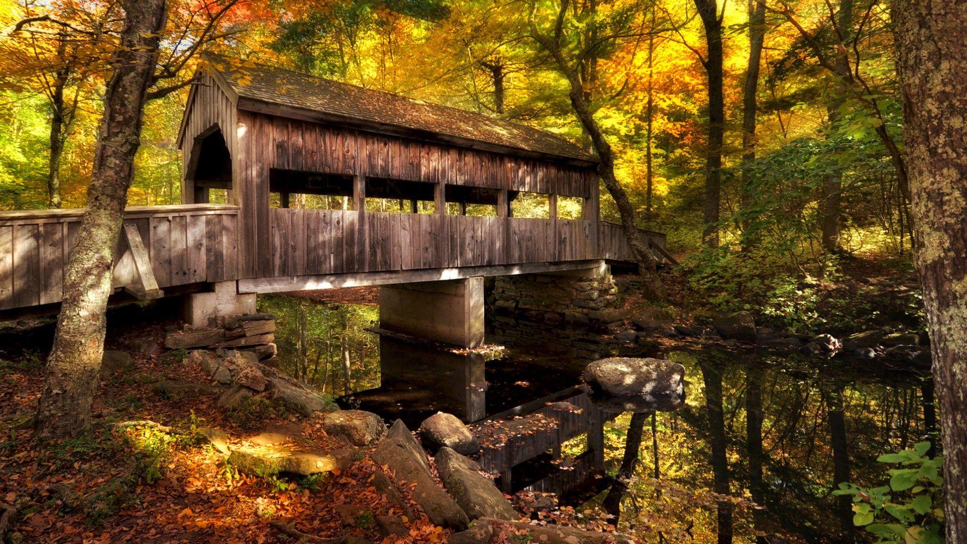 1920x1080 Get Bridges in Autumn