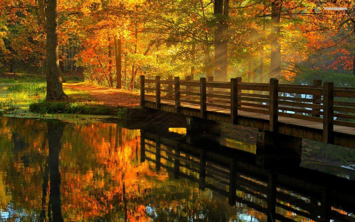 1130x706 Wooden bridge over the river autumn day