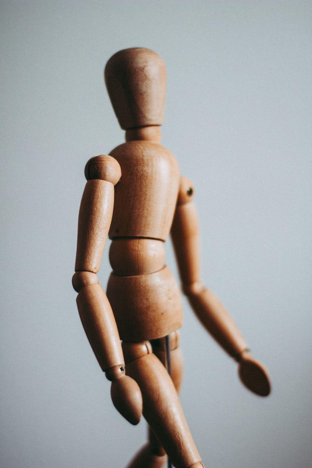 1000x1500 Human Physiology Picture. Download Free Image