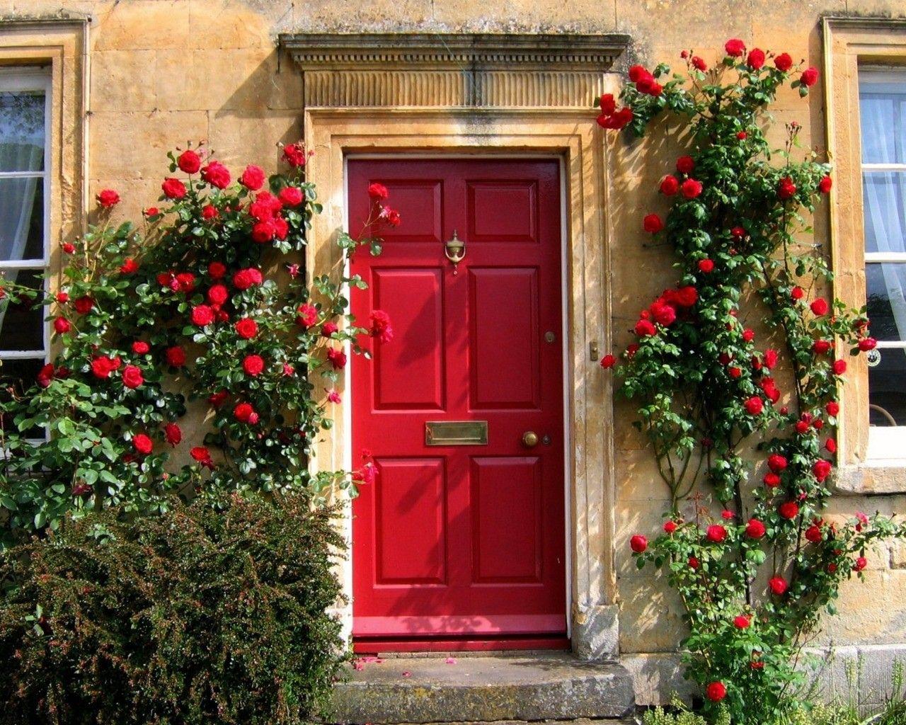 1280x1024 Flower Flowers Roses Awesome Rose Red Entry Exotic Desktop