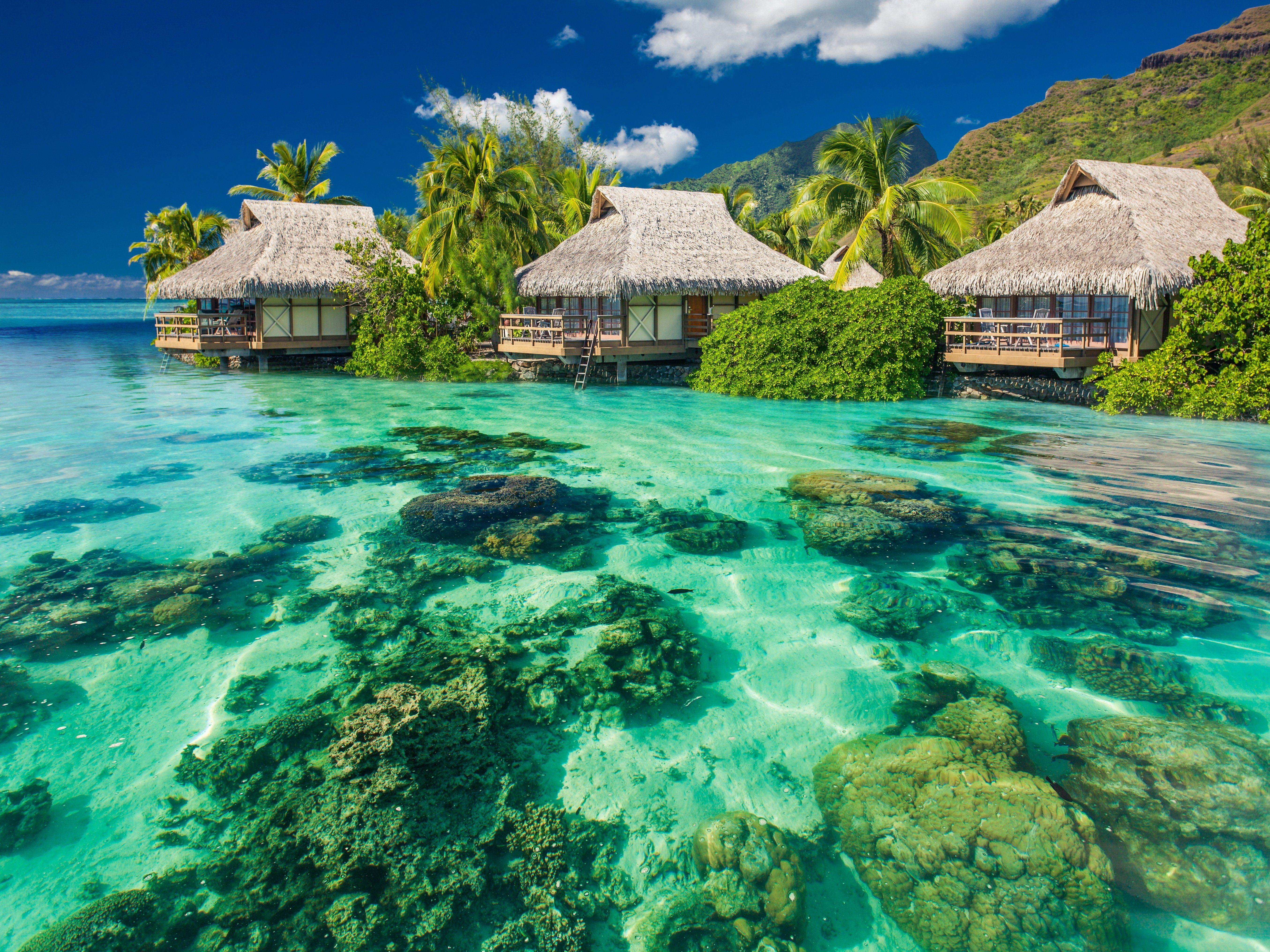5420x4065 4K Hawaii Wallpaper for Desktop