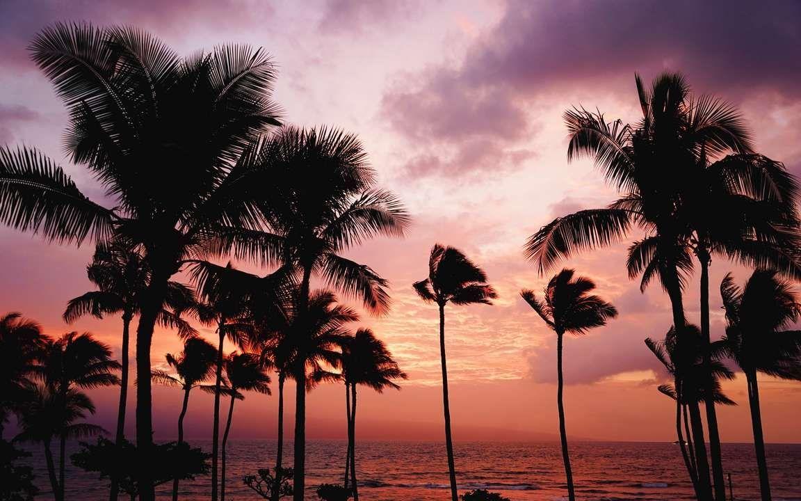 1152x720 Download wallpaper 3840x2400 palm trees, sunset, sea 4k ultra HD 16:10 HD background. Best hawaiian island, Hawaii travel, Hawaii vacation