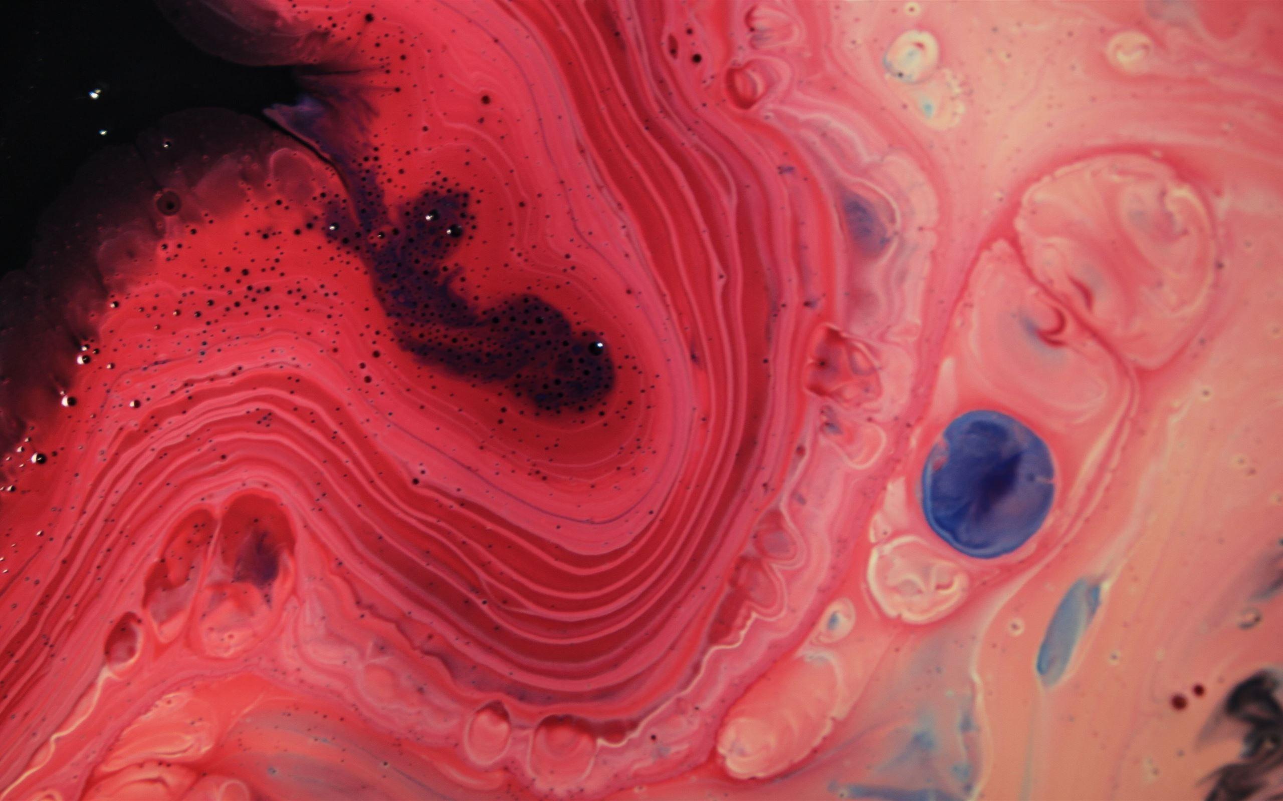 2560x1600 abstract painting 5k MacBook Air Wallpaper Download