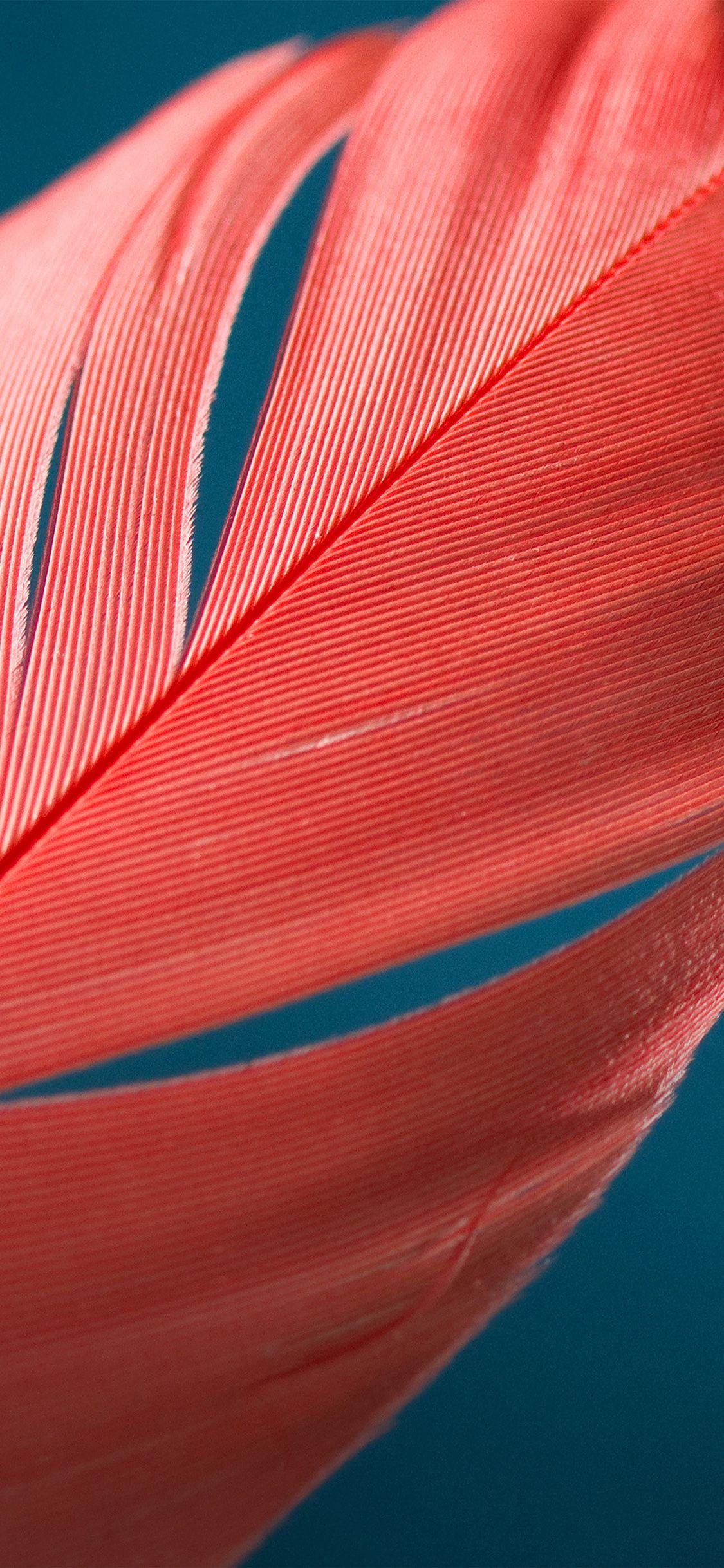 1125x2436 Moto X Style Bird Feather Pattern Wallpaper