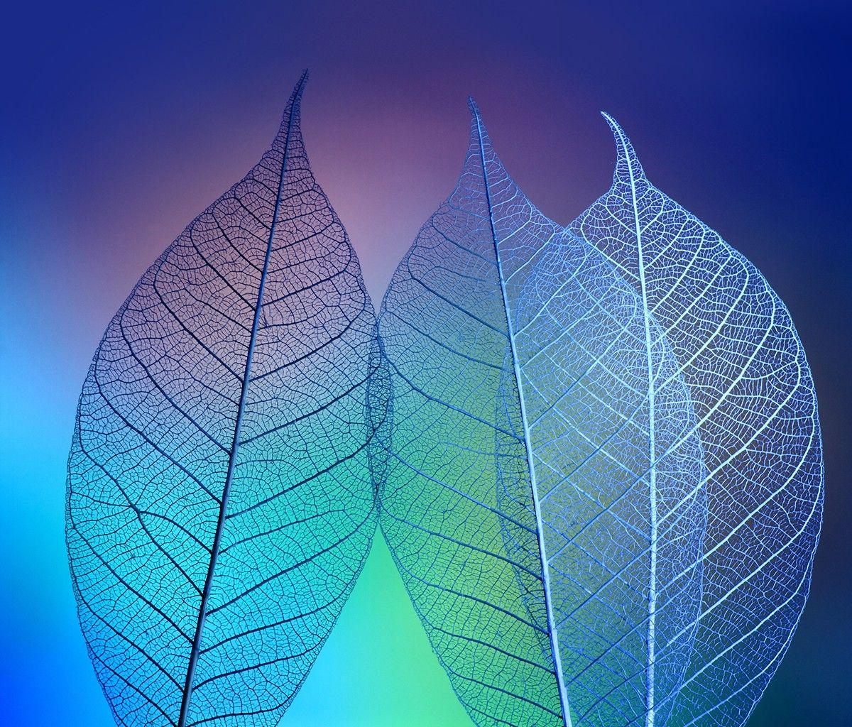 1200x1024 Alcatel Pixi 4 Stock Wallpaper 11 - [1200x1024]