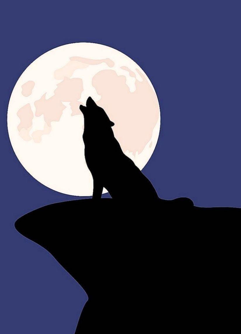 825x1140 Wolf Wallpaper Alcatel Wallpaper.Pro