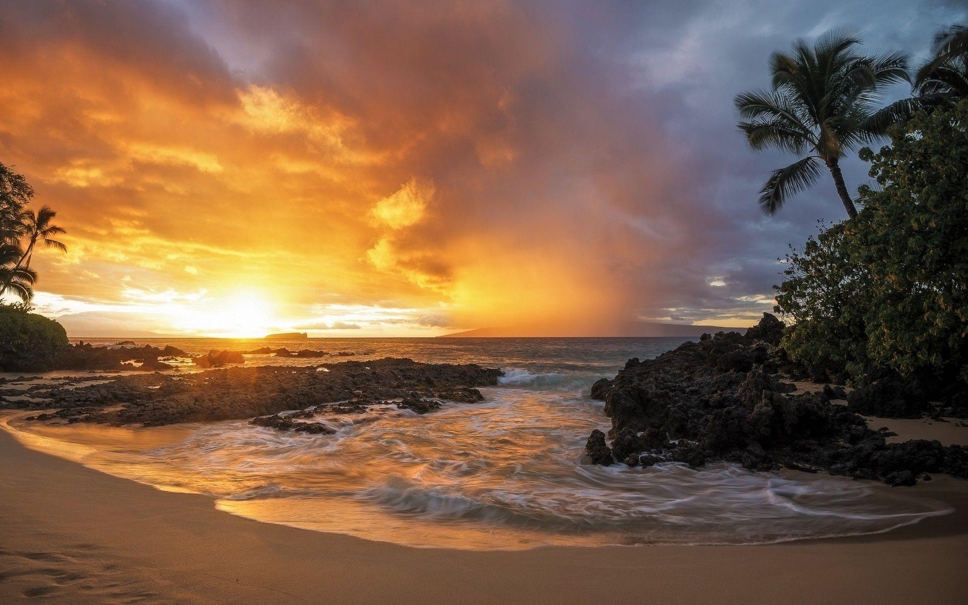 1920x1200 nature, Landscape, Sunset, Sand, Beach, Palm Trees, Sea, Rock, Clouds, Gold Wallpaper HD / Desktop and Mobile Background