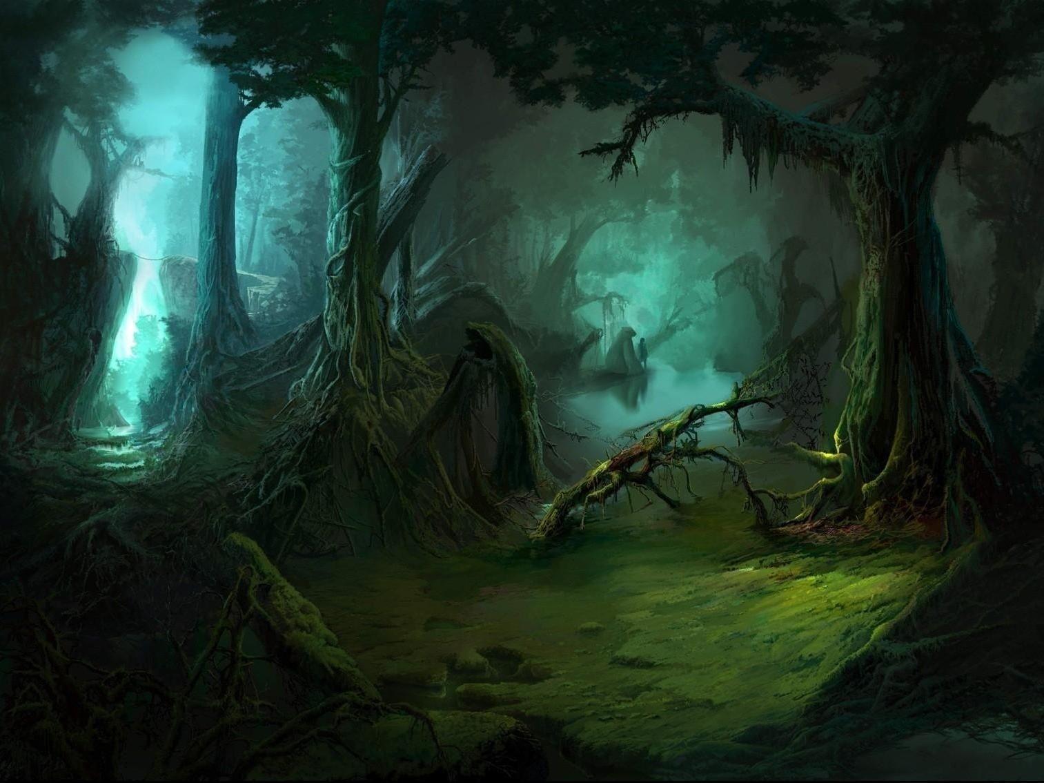 1513x1134 Abstract Wallpaper, Mood, Dark, Forest, Jungle, Fantasy, bear, Bears, Beautiful Landscape, HD Wallpaper