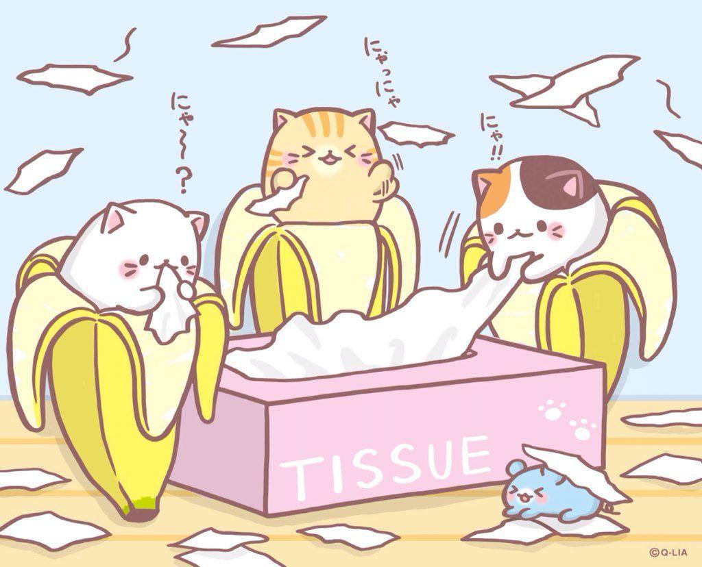 1024x828 Bananya Bananacat on Twitter. BANANYA. Twitter, Kawaii