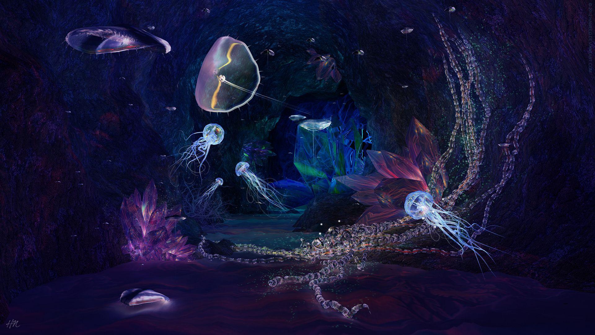 1920x1080 Deep Jewels Post Available in 1920×1080 Pixel, Fishes Are Lighted Up, Swimming Freely, They Shall be Quite a Fit