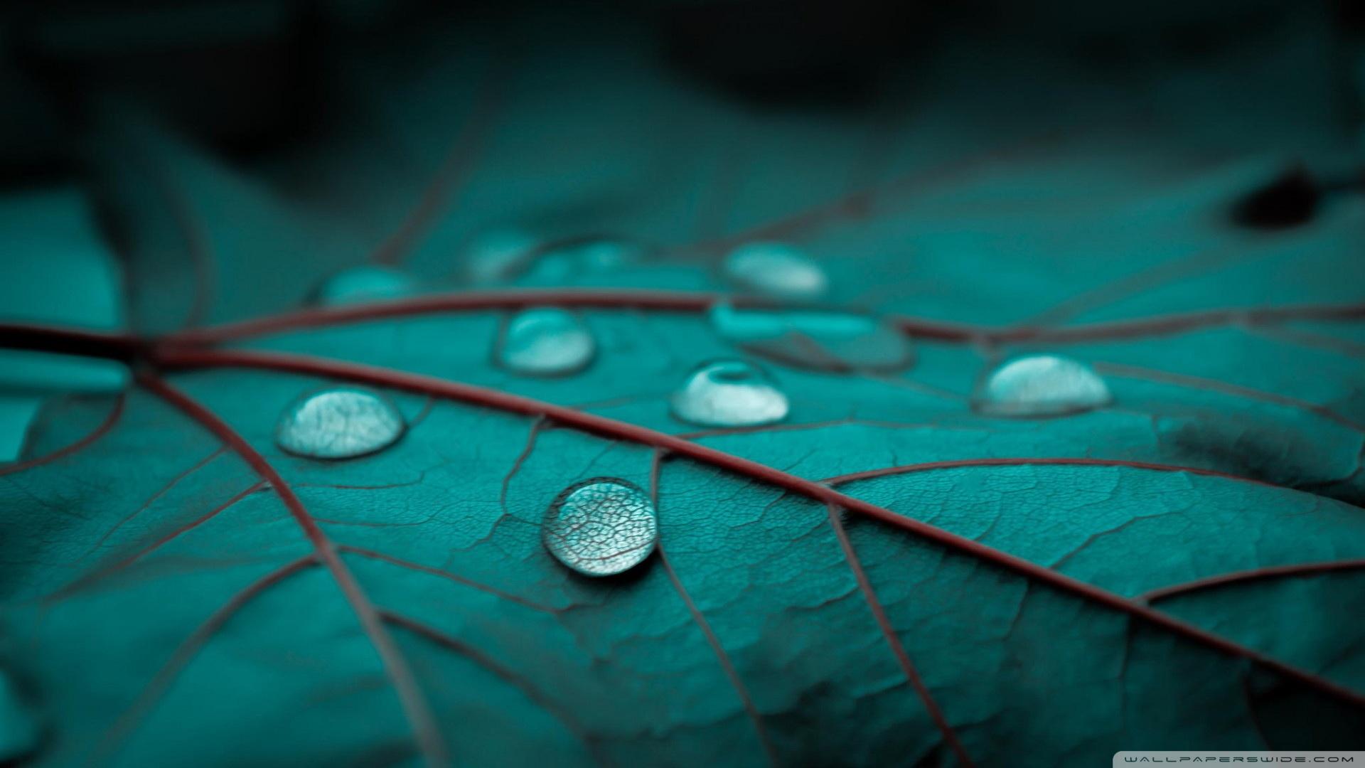 1920x1080 Emerald Wallpaper HD