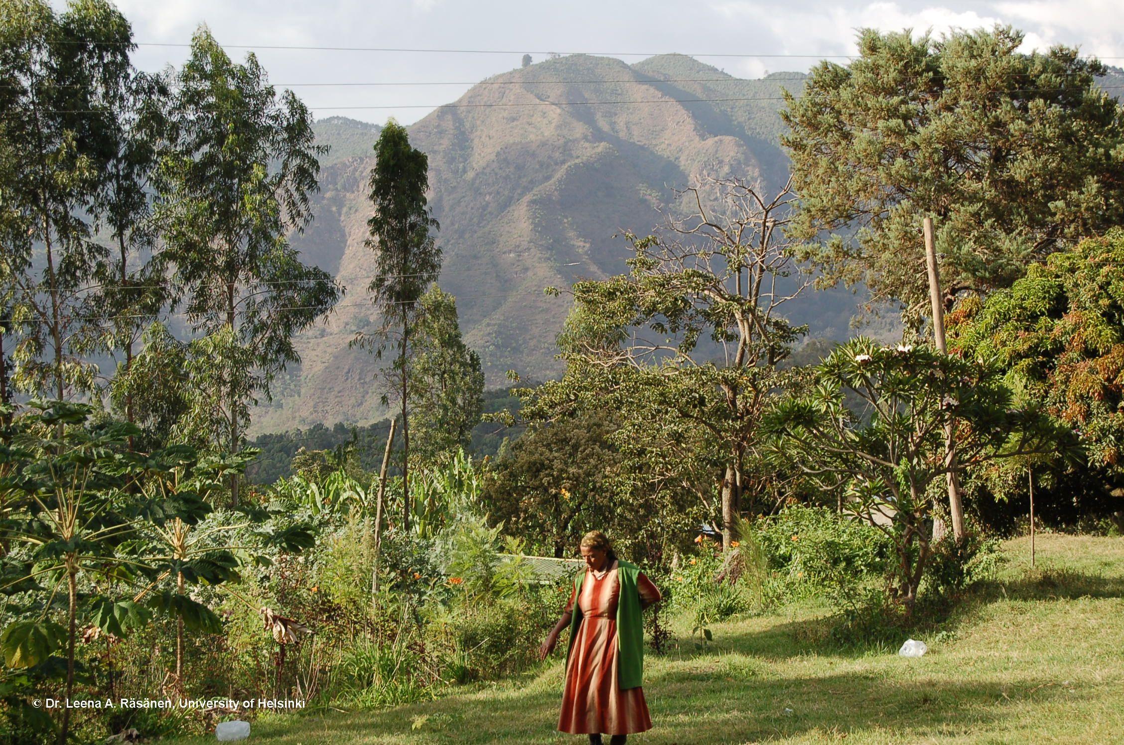 2256x1496 Ethiopia. HD Windows Wallpaper