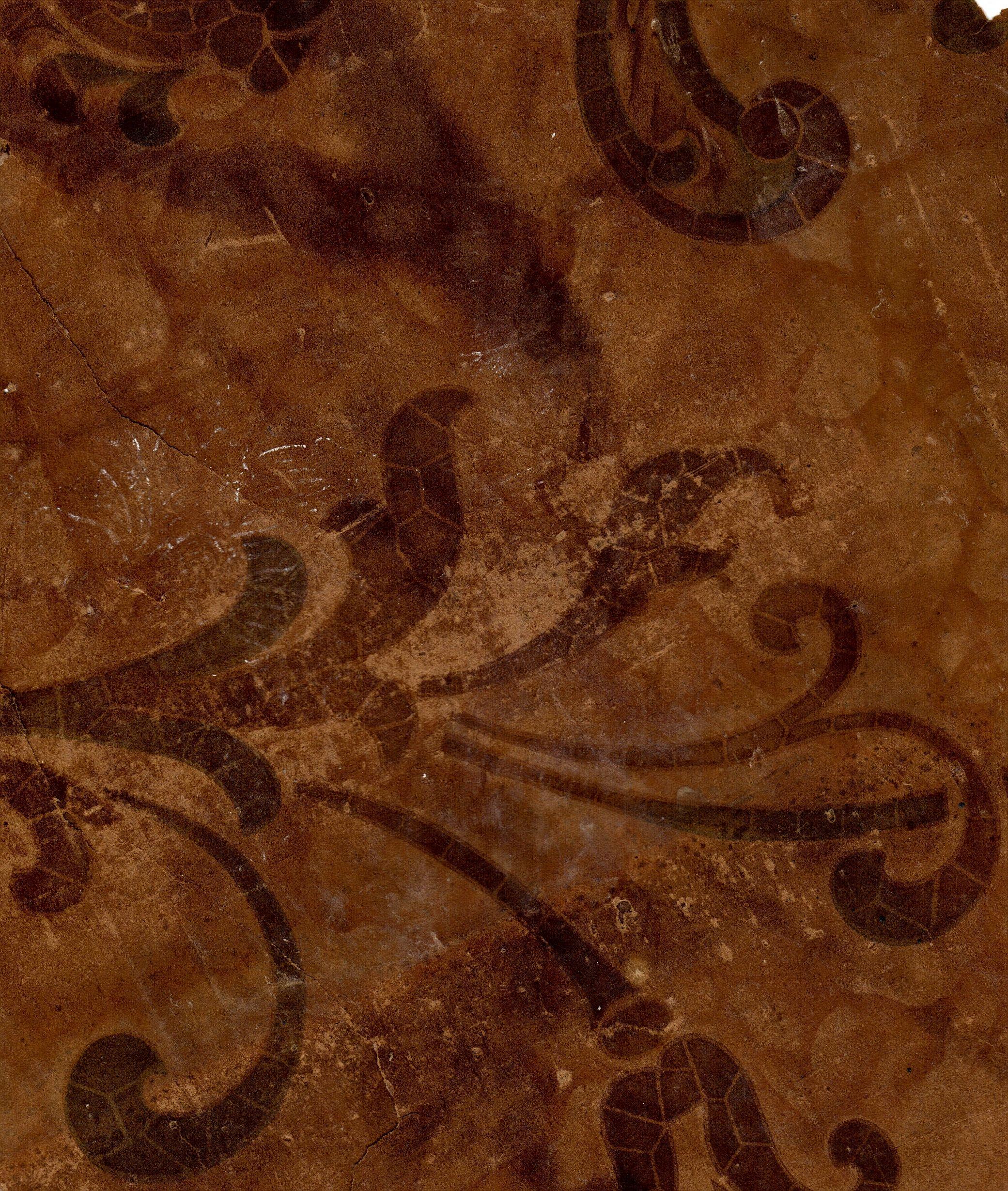 Old Leather Wallpapers - Top Free Old Leather Backgrounds - WallpaperAccess