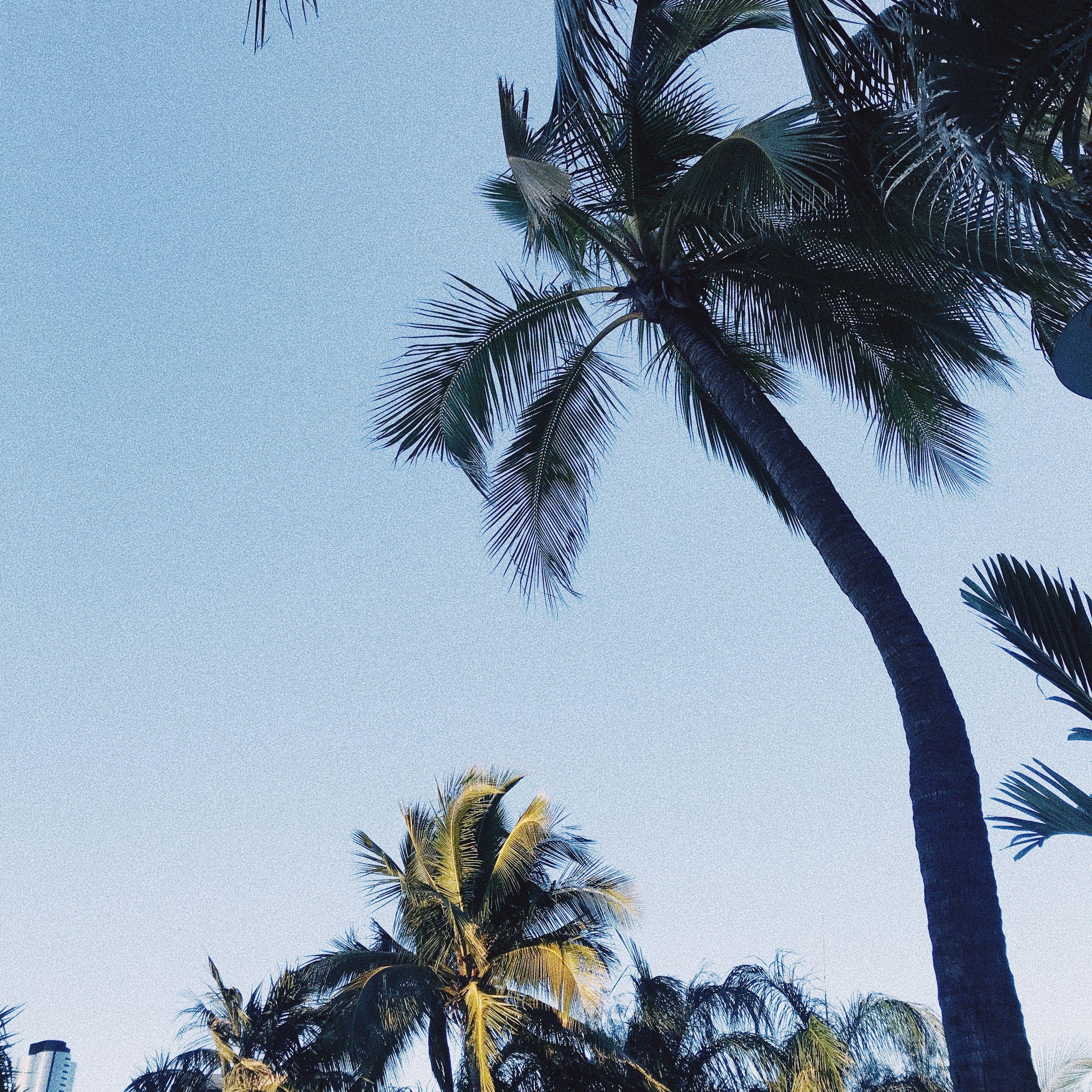 3024x3024 Pretty background, Island vibes, Nature photo