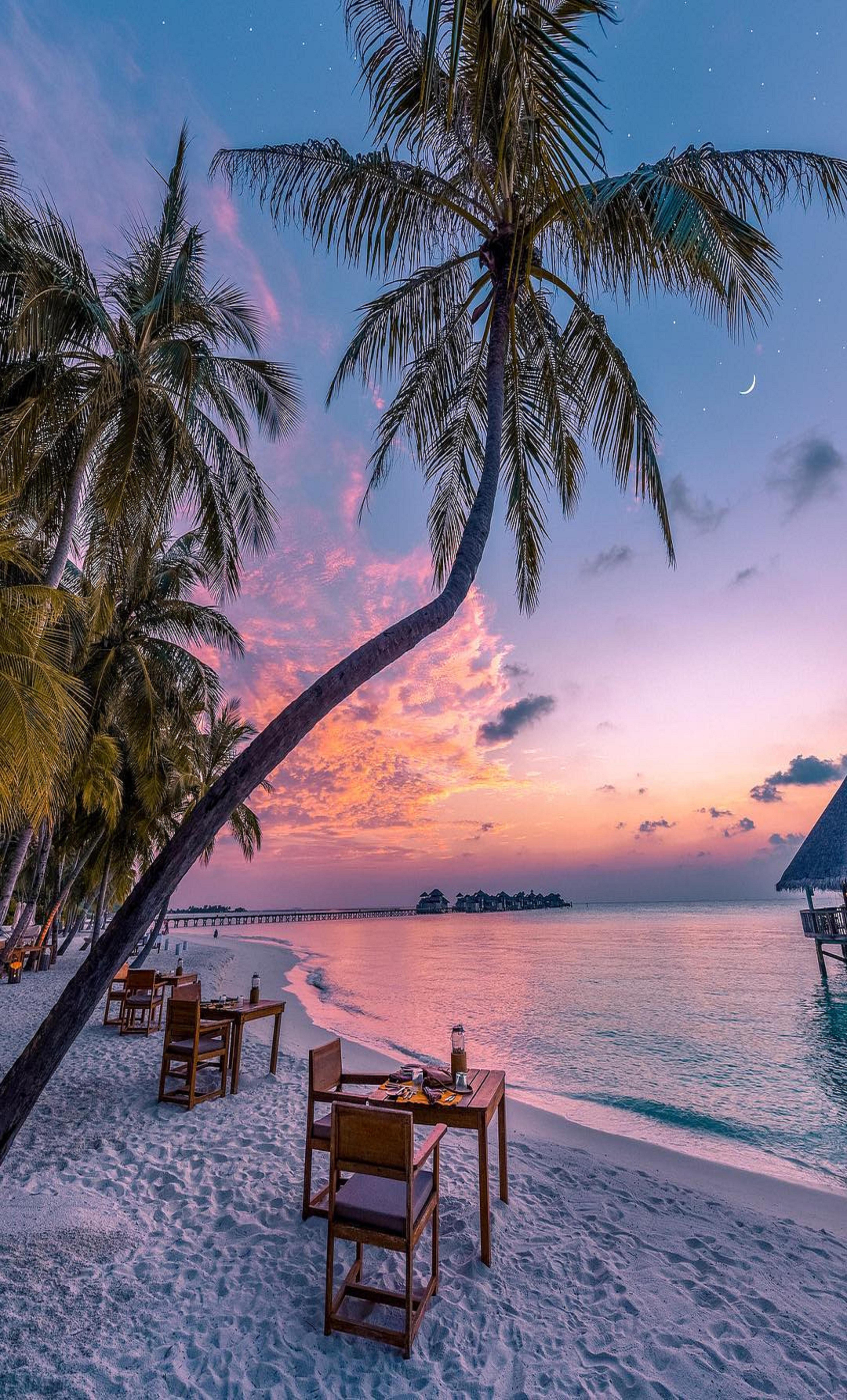 5918x9787 maldives- my number one travel destination. Beautiful places to travel, Romantic island getaways, Dream vacations